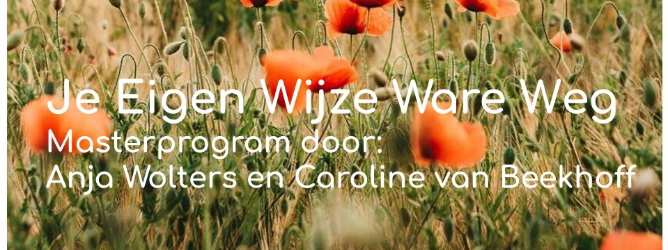 Je Eigen Ware Weg Gaan