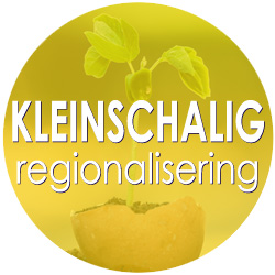 regionalisering